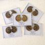 Cleoniceras Ammonite Fossil Pair, thumbnail 3 of 10