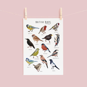 British Birds Poster, 2 of 5