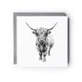 Hand Drawn “Major” Highland Coo Greeting Card Illustration, thumbnail 3 of 6