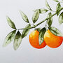 'The Orange Branch' Botanical Art Print, thumbnail 4 of 5