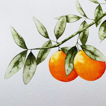 'The Orange Branch' Botanical Art Print, 4 of 5