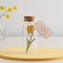 Miniature Daffodil Keepsake Message Bottle, thumbnail 5 of 8