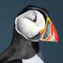 Pair Of Puffin Prints, thumbnail 3 of 4