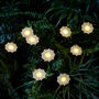Nine Daisy Flower Solar Stake Lights, thumbnail 1 of 4