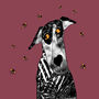 'Buzz' Fine Art, Limited Edition Giclee Print, thumbnail 3 of 3