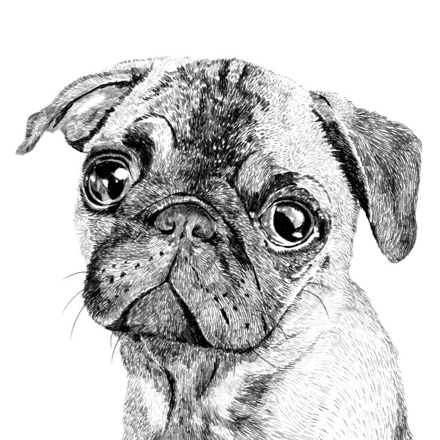 Dog Printable