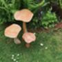 Set Of Three Wooden Mushrooms For Garden, thumbnail 8 of 12