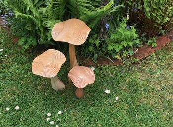 Set Of Three Wooden Mushrooms For Garden, 8 of 12