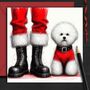 Bichon Frise Dog Christmas Card. Dressed To Impress, thumbnail 1 of 2