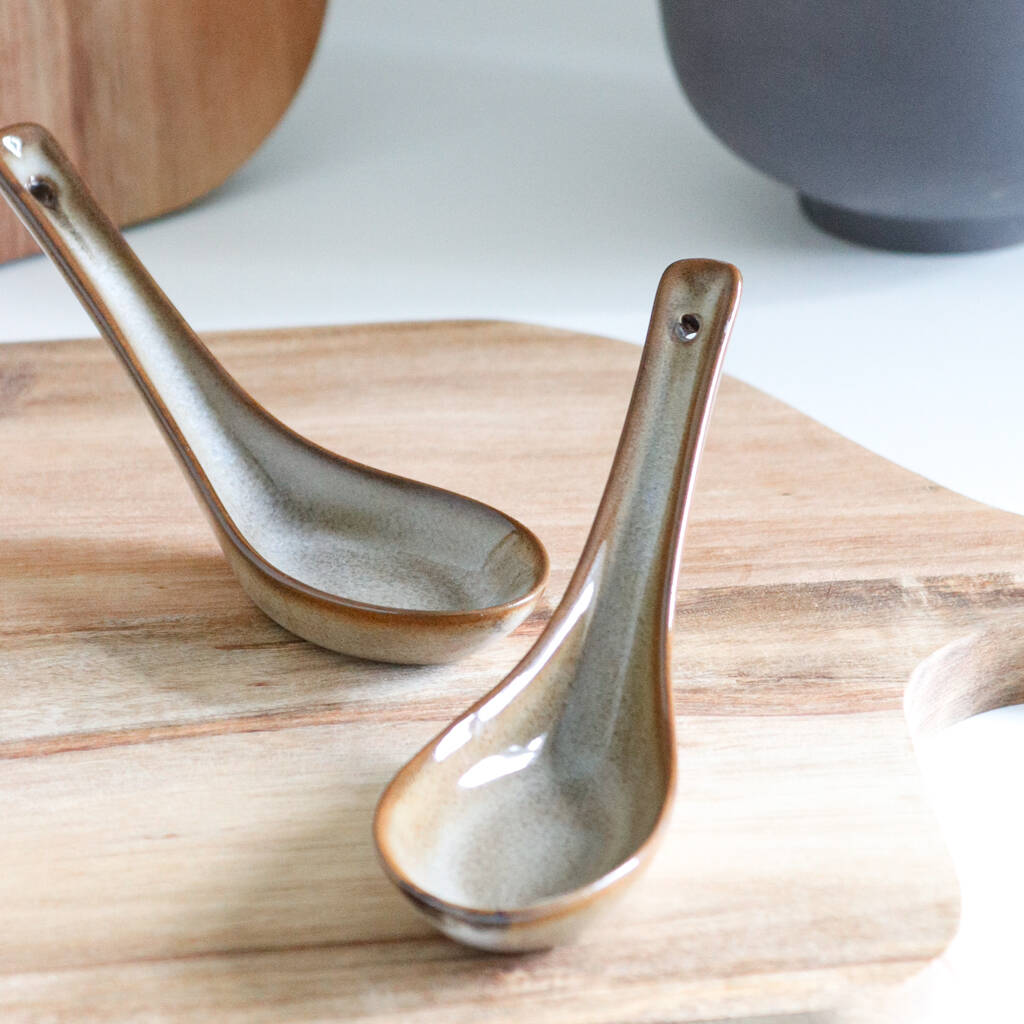 Brown Ceramic Ramen Spoon Set By Marquis & Dawe