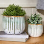 Socco Green Drip Effect Planters, thumbnail 1 of 3