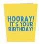 Hooray You're Old Funny Pop Up Birthday Cat Card, thumbnail 2 of 7