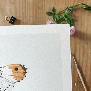 ‘Orange Tip’ Butterfly A5 Giclée Art Print, 2 of 3