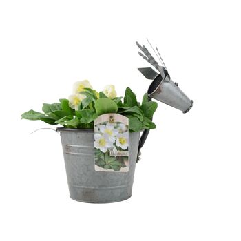 Metal Reindeer With Hellebore – Christmas Centrepiece Gift, 2 of 2