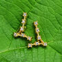 Pisces Star Sign Constellation Astrology Tiny Earrings, thumbnail 1 of 4