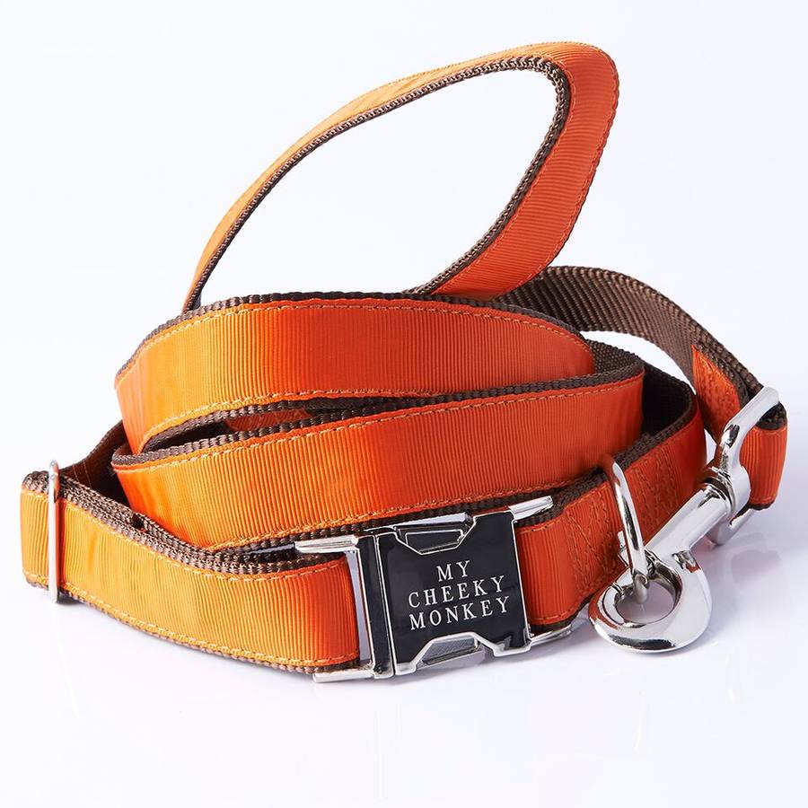 dog running lead by suzy q designs