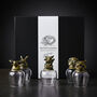 Six Animal Whiskey Shot Glass Gift Set For Men, thumbnail 11 of 12