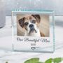 Personalised Pet Memory Glass Token, thumbnail 1 of 3