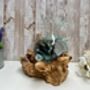 Melted Glass Jug On Driftwood Handcrafted Glass Vase, thumbnail 5 of 9