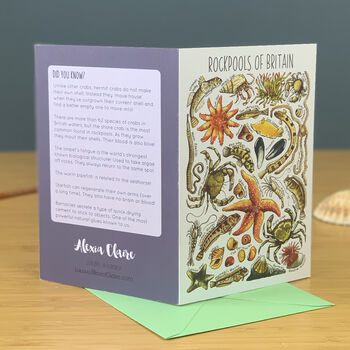 Rockpools Of Britain Blank Greeting Card, 2 of 9