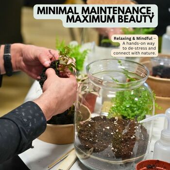 Closed Terrarium Kit With Live Plant | 'Luzern', 6 of 10