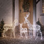 Duchy Dual Colour Micro LED Light Up Reindeer Family, thumbnail 2 of 4