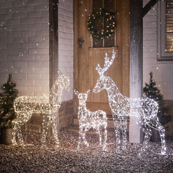 Duchy Dual Colour Micro LED Light Up Reindeer Family, 2 of 4