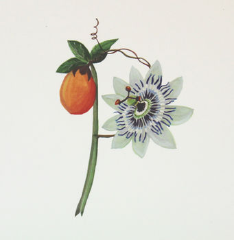 Botanical 'Happy Birthday' Card, 5 of 8