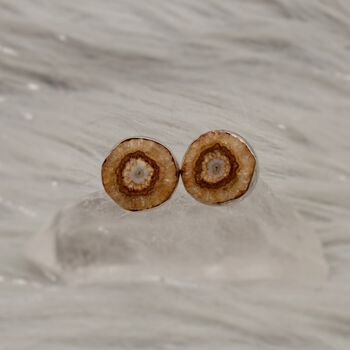 Sterling Silver Brown Agate Studs, 5 of 6