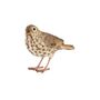 Lifelike Song Thrush Bird Ornament Indoor Outdoor Gift, thumbnail 6 of 6
