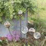 Cluster Of Five Glass Or Prism Balls For Garden, thumbnail 11 of 12