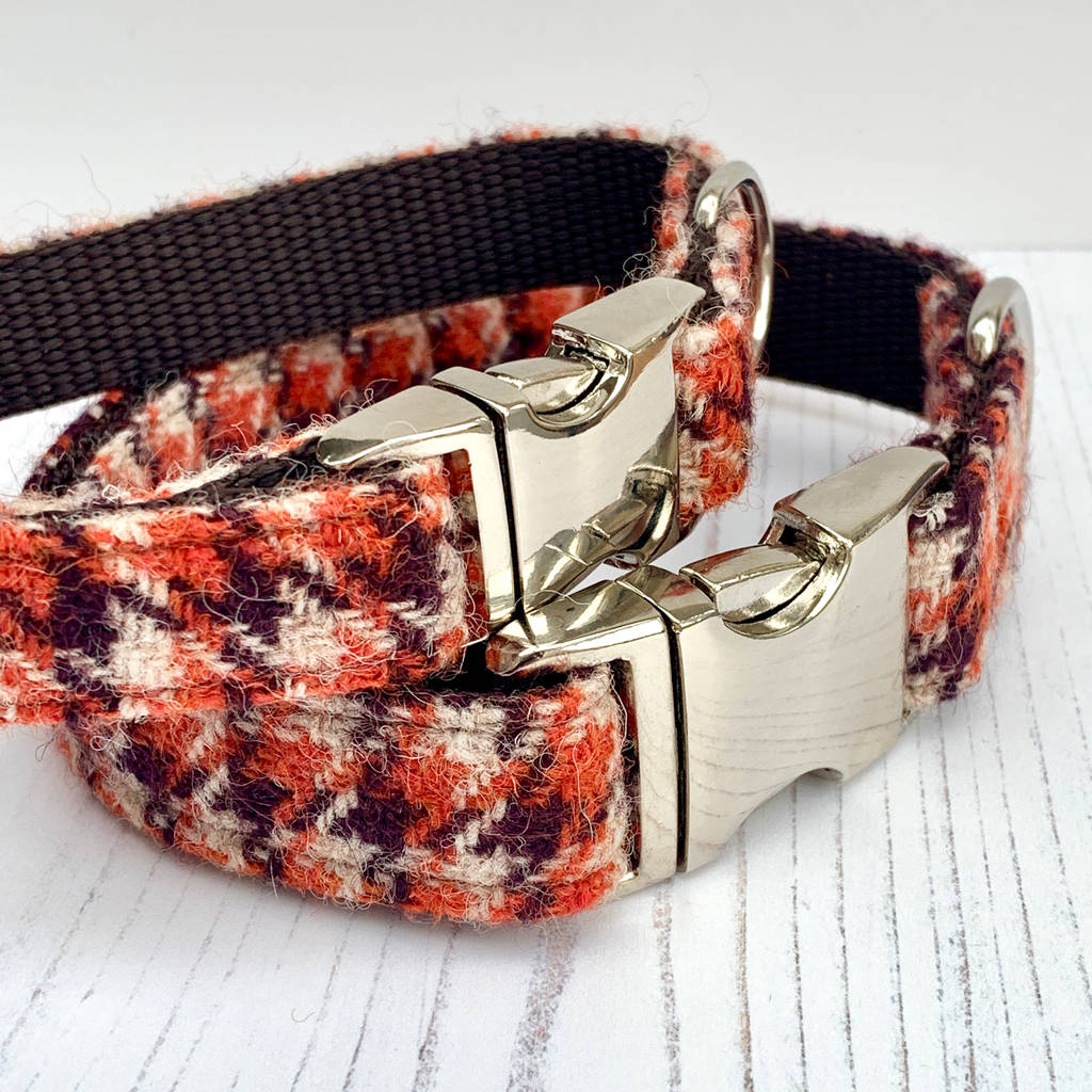 Boogie Harris Tweed Dog Collar By Furry Necks