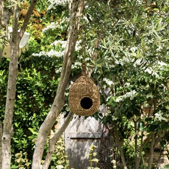 Seagrass Bird House, 2 of 3