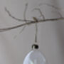 Dried Flower Glass Christmas Tree Baubles, thumbnail 3 of 6