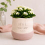 Personalised Wedding Gift Plant Pot With Optional Plant, thumbnail 5 of 7