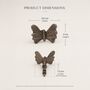 Classic Butterfly Brass Cabinet Knob, thumbnail 6 of 9