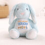 Personalised Birthday Bunny Animal Balloon Plush, thumbnail 2 of 3