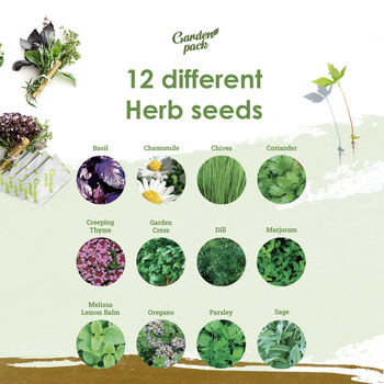 Herb Seeds For Planting 12 Varieties, 5 of 6