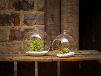 Hanging Glass Terrarium Set Airplants Extras Plant Gift, 2 of 5