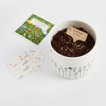 Magical Wildflower Wishes – Plantable Gift For Children, 7 of 9