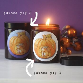 Halloween Guinea Pig Apothecary Candle, 2 of 3