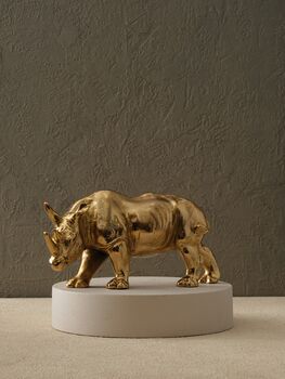 Antique Bronze Rhino Sculpture, 5 of 6
