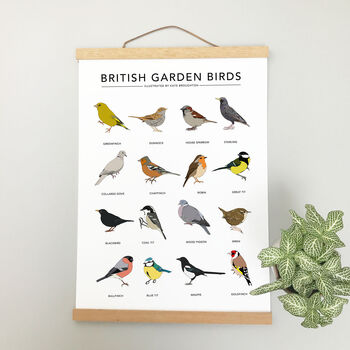 'British Garden Birds' Print, 3 of 3