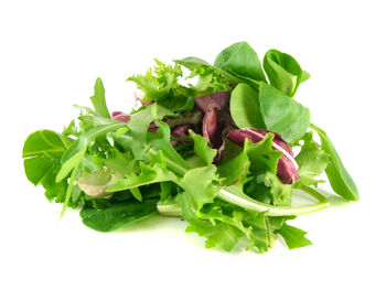 Salad Plants Six Month Subscription Package, 3 of 5