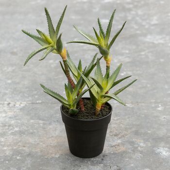 Potted Faux Aloe Plant, 3 of 4