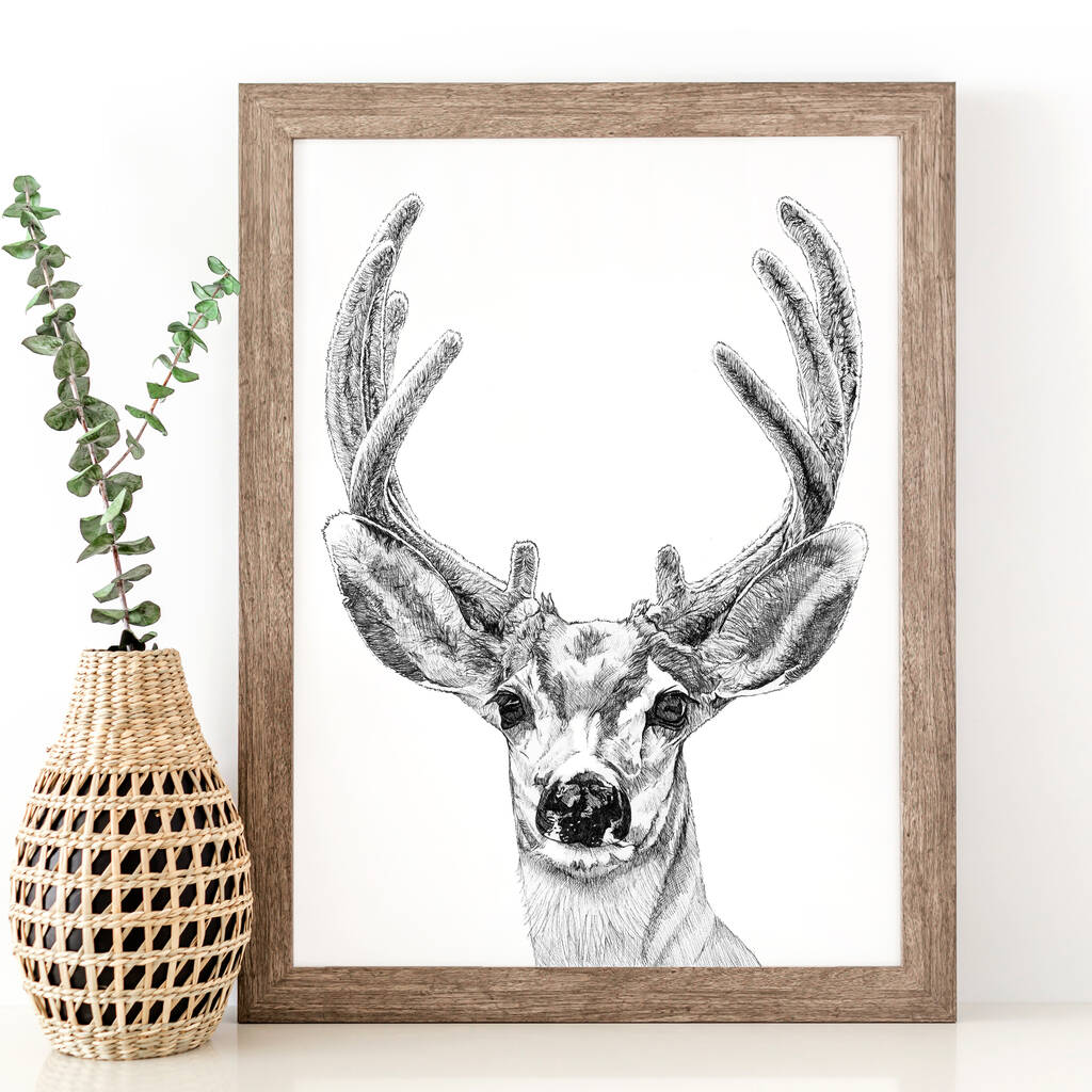 Deer Print By Rosie Noses | notonthehighstreet.com