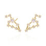 Valini Zodiac Constellation Earrings 18 K Gold Plated, thumbnail 6 of 10