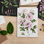 Botanical Peony Card, thumbnail 1 of 2