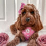 Hearts Of Pink Adjustable Dog Harness, thumbnail 3 of 9
