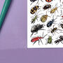 Beetles Of Britain Watercolour Postcard, thumbnail 7 of 8